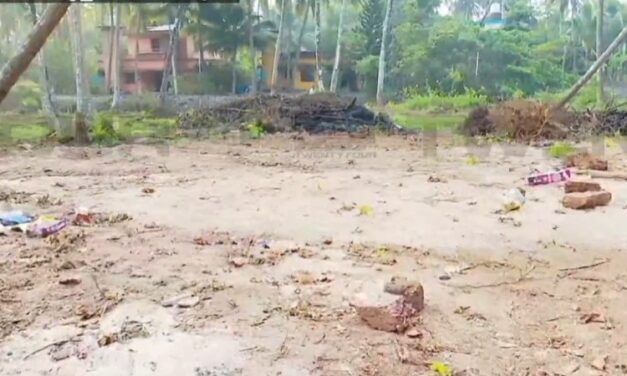 ഉത്സവത്തിനിടെ വെടിക്കെട്ട് അപകടം: അഞ്ചുപേര്‍ക്ക് പരിക്ക്, ഒരാളുടെ നില ഗുരുതരം