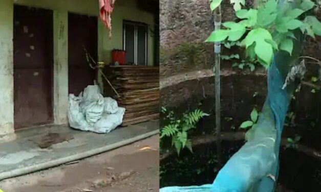 സ്നേഹം കുറയുമോ എന്ന് ഭയം; 4 മാസം പ്രായമുള്ള കുഞ്ഞിനെ കൊന്നത് 12കാരി : അരുംകൊല കഴിഞ്ഞ് കരഞ്ഞുവിളിച്ച് പെൺകുട്ടി