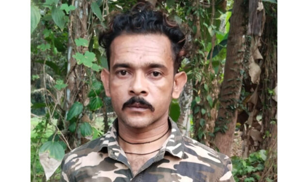 വീട്ടുമുറ്റത്ത് കഞ്ചാവ് ചെടി നട്ടുവളര്‍ത്തി, അന്യസംസ്ഥാന സ്വദേശി പിടിയില്‍