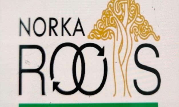 സൗദി നഴ്സ് ഇപ്പോൾ അപേക്ഷിക്കാം