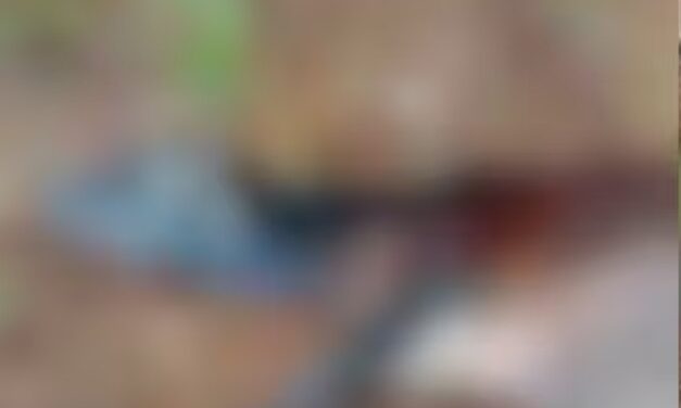 പശുക്കിടാവിനോട് കണ്ണില്ലാത്ത ക്രൂരത;  കുസാറ്റ് ക്യാമ്പസിൽ കാലുകൾ കേബിളിൽ കെട്ടിയിട്ട നിലയിൽ പശുക്കിടാവ്
