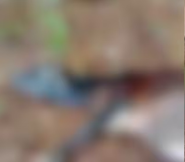 പശുക്കിടാവിനോട് കണ്ണില്ലാത്ത ക്രൂരത;  കുസാറ്റ് ക്യാമ്പസിൽ കാലുകൾ കേബിളിൽ കെട്ടിയിട്ട നിലയിൽ പശുക്കിടാവ്