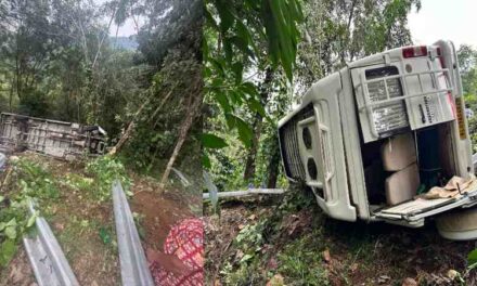 വിനോദ സഞ്ചാരികളുമായി എത്തിയ ടെമ്പോ ട്രാവലര്‍ 30 അടി താഴ്ചയിലേക്ക് മറിഞ്ഞു, മൂന്നു കുട്ടികള്‍ക്ക് ഉള്‍പ്പെടെ 17 പേര്‍ക്ക് പരിക്ക്