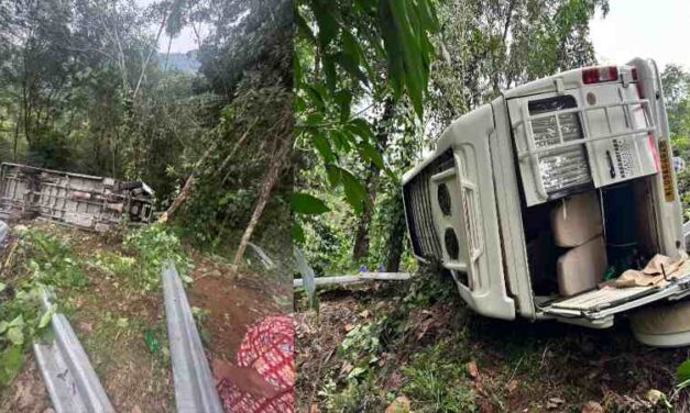 വിനോദ സഞ്ചാരികളുമായി എത്തിയ ടെമ്പോ ട്രാവലര്‍ 30 അടി താഴ്ചയിലേക്ക് മറിഞ്ഞു, മൂന്നു കുട്ടികള്‍ക്ക് ഉള്‍പ്പെടെ 17 പേര്‍ക്ക് പരിക്ക്