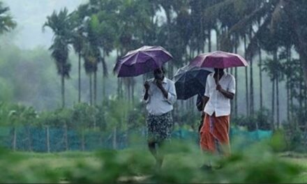 സംസ്ഥാനത്ത് മഴ കനക്കുന്നു : നാല് ജില്ലകളിൽ ഓറഞ്ച് അലേർട്ട്, കള്ളക്കടൽ മുന്നറിയിപ്പ്