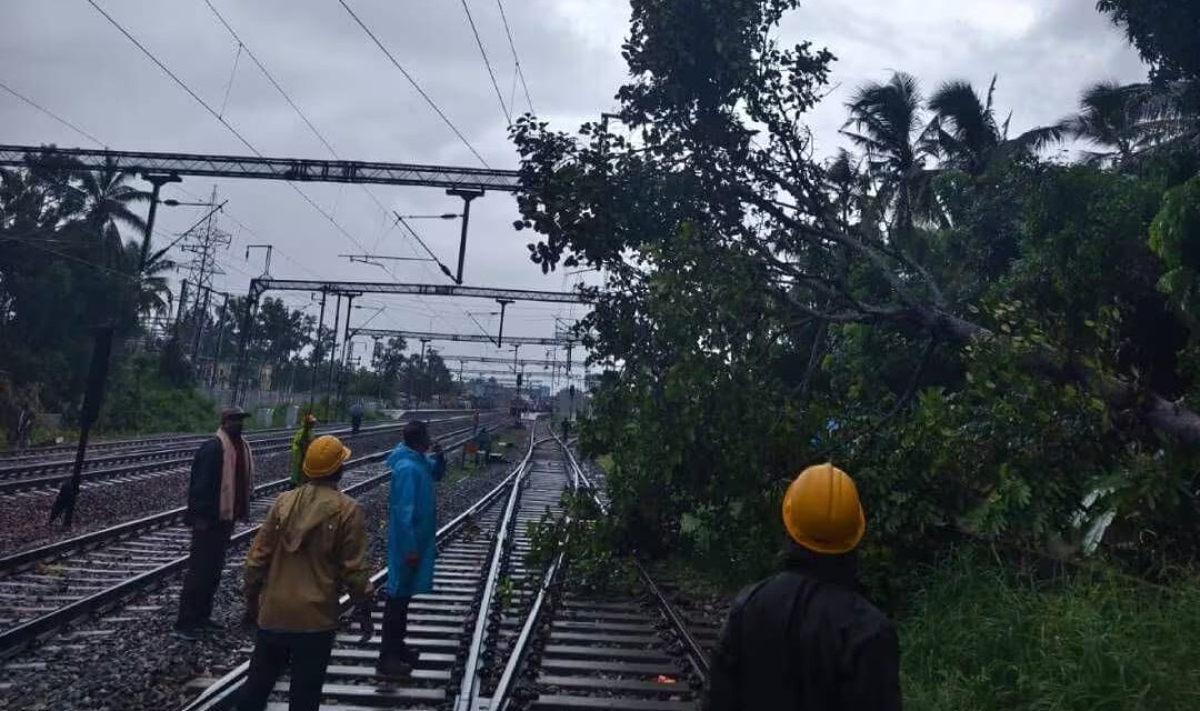 കേരളത്തിൽ കാലവർഷം വീണ്ടും സജീവമാകുന്നു