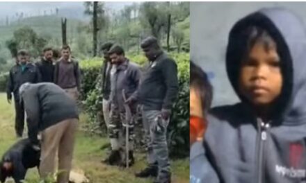 വാൽപ്പാറയിൽ പുലി പിടിച്ച നാലരവയസ്സുകാരിയുടെ മൃതദേഹം കണ്ടെത്തി;  പകുതി ഭക്ഷിച്ച നിലയില്‍