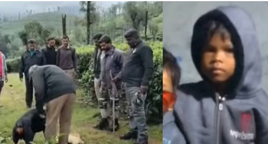 വാൽപ്പാറയിൽ പുലി പിടിച്ച നാലരവയസ്സുകാരിയുടെ മൃതദേഹം കണ്ടെത്തി;  പകുതി ഭക്ഷിച്ച നിലയില്‍