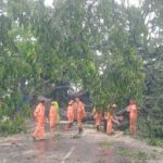 കോട്ടയത്ത് കനത്തമഴ: വന്‍മരം റോഡിലേക്ക് വീണു ഗതാഗതം തടസപ്പെട്ടു