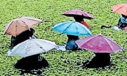 തണുത്തവെള്ളത്തില്‍ മരവിച്ചു സ്ത്രീ തൊഴിലാളികള്‍ കുഴഞ്ഞുവീണു, സംഭവം കോട്ടയം കടുത്തുരുത്തിയില്‍