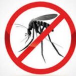 കടുത്തുരുത്തിയില്‍ മലമ്പനി