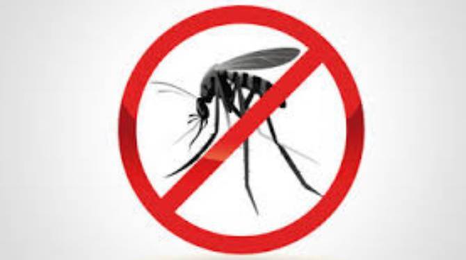 കടുത്തുരുത്തിയില്‍ മലമ്പനി