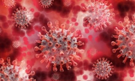 വീണ്ടും കേരളത്തിൽ നിപ്പ മരണം