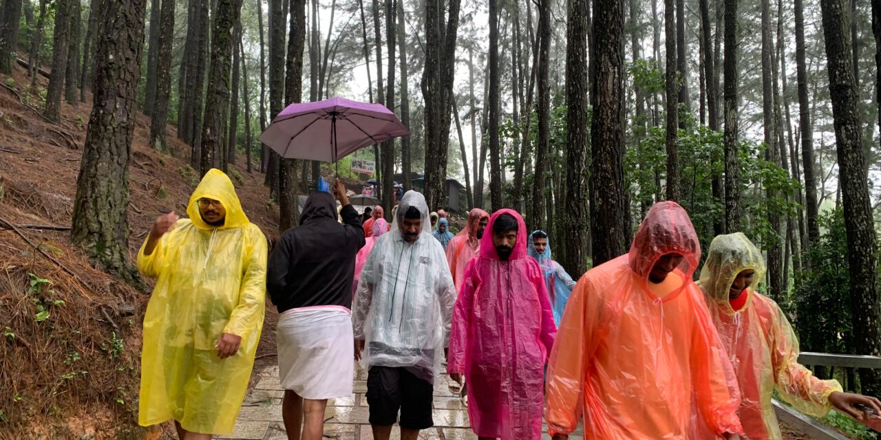 വാഗമണ്ണിലെ മൺസൂൺ ടൂറിസം സജീവം , മഴ നനഞ്ഞ് പൈൻ മരക്കാടിലെത്താൻ വിനോദ സഞ്ചാരികളുടെ വൻ തിരക്ക്- video report