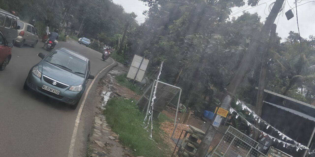 ചുഴലിക്കാറ്റ്: കോട്ടയത്ത് മരം വീണു