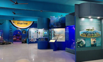 സയൻസ് സിറ്റി ഒന്നാംഘട്ട ഉദ്ഘാടനം വ്യാഴാഴ്ച മുഖ്യമന്ത്രി പിണറായി വിജയൻ നിർവഹിക്കും