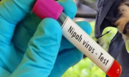 നിപ: സമ്പര്‍ക്കപ്പട്ടികയില്‍ 425 പേര്‍, മലപ്പുറം 228, പാലക്കാട് 110, കോഴിക്കോട് 87, അഞ്ച് പേര്‍ ഐസിയുവില്‍