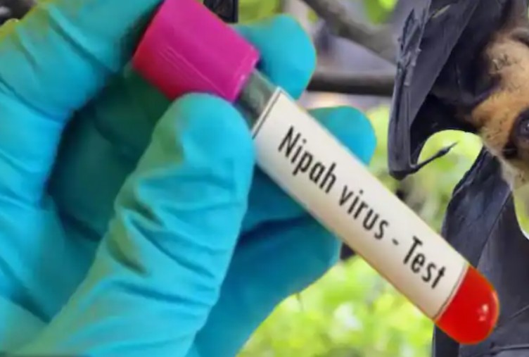 നിപ: സമ്പര്‍ക്കപ്പട്ടികയില്‍ 425 പേര്‍, മലപ്പുറം 228, പാലക്കാട് 110, കോഴിക്കോട് 87, അഞ്ച് പേര്‍ ഐസിയുവില്‍