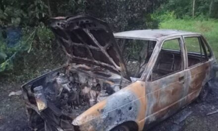 നിർത്തിയിട്ട കാറിന് തീപിടിച്ച് മാതാവിനും മൂന്നു കുട്ടികൾക്കും പൊള്ളലേറ്റു