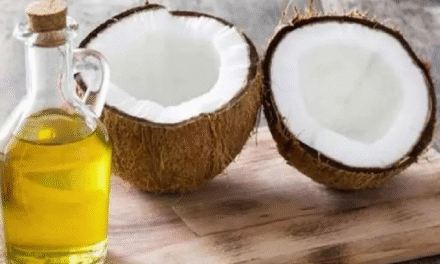 ഇങ്ങനെ പോയാൽ ഇതു കൈവിട്ടു പോകും : വെളിച്ചെണ്ണ വിലയിൽ വൻ വർധനവ് : വിപണി വില 525ന് മുകളിൽ : ഇടപെടുമെന്ന് ഭക്ഷ്യമന്ത്രി