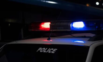 വനിത മാധ്യമ പ്രവര്‍ത്തകര്‍ക്ക് എതിരായ സൈബര്‍ ലിഞ്ചിങ് തടയണം: പോലീസ് മേധാവിക്ക് കത്ത് നല്‍കി പത്രപ്രവര്‍ത്തക യൂണിയന്‍