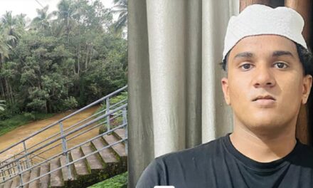 വൈദ്യുതലൈൻ തോട്ടിലേക്ക് പൊട്ടിവീണു; കുളിക്കാൻ ഇറങ്ങിയ 18കാരൻ ഷോക്കേറ്റ് മരിച്ചു