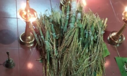 ഇന്ന് നിറയും പുത്തരിയും