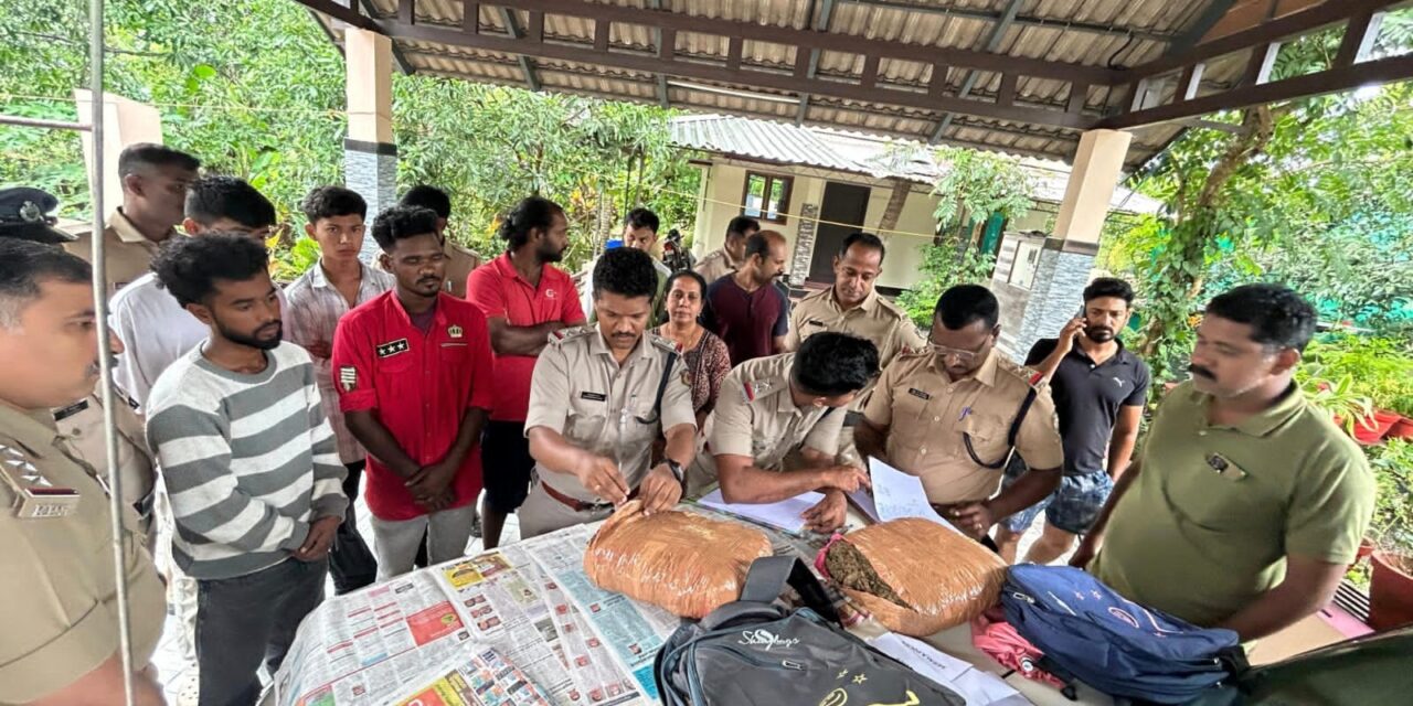 കോട്ടയത്ത് കഞ്ചാവ് വേട്ട