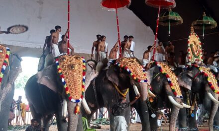 ഭക്തർക്കു ദർശനപുണ്യമായി മഹാഗണപതി ക്ഷേത്രത്തിലെ വിനായക ചതുർഥി ആഘോഷം