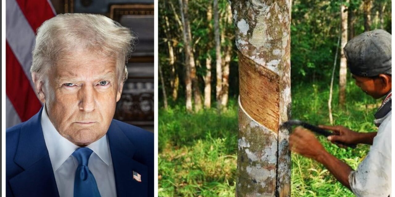 അമേരിക്കയുടെ ഇരട്ടി നികുതി കേരളത്തിലെ റബർ ഏലം കുരുമുളക് കർഷകർക്ക്  വൻ തിരിച്ചടിയാകും