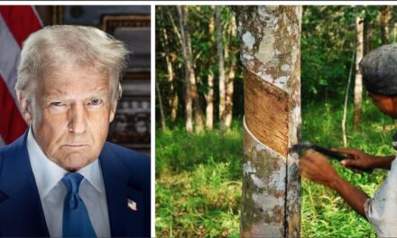 അമേരിക്കയുടെ ഇരട്ടി നികുതി കേരളത്തിലെ റബർ ഏലം കുരുമുളക് കർഷകർക്ക്  വൻ തിരിച്ചടിയാകും