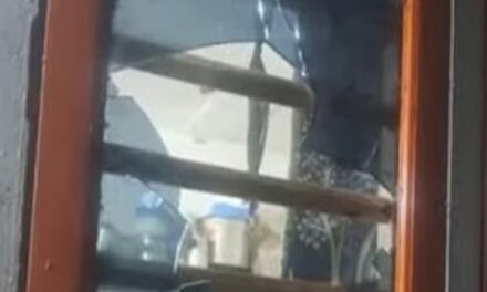 പ്രണയം നിരസിച്ചു; പാലക്കാട് പെണ്‍കുട്ടിയുടെ വീടിന് നേരെ പെട്രോള്‍ ബോംബ് എറിഞ്ഞു, രണ്ട് പേർ പിടിയില്‍