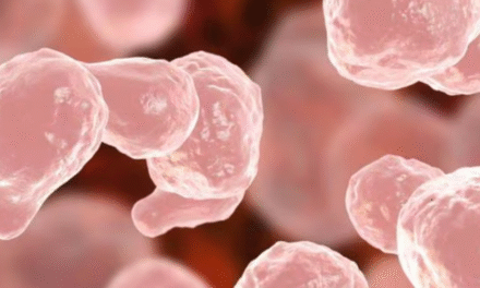 വീണ്ടും അമീബിക് മസ്തിഷ്കജ്വരം; മലപ്പുറത്ത് 11 വയസ്സുകാരിക്ക് രോ​ഗം സ്ഥിരീകരിച്ചു