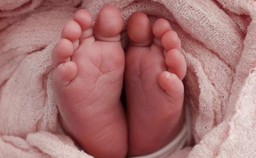 പൊക്കിൾകൊടി വേർപെടാത്ത നിലയിൽ ; പെരുമ്പാവൂർ കാഞ്ഞിരക്കാട് മാലിന്യക്കൂമ്പാരത്തിൽ നവജാത ശിശുവിന്റെ മൃതദേഹം കണ്ടെത്തി