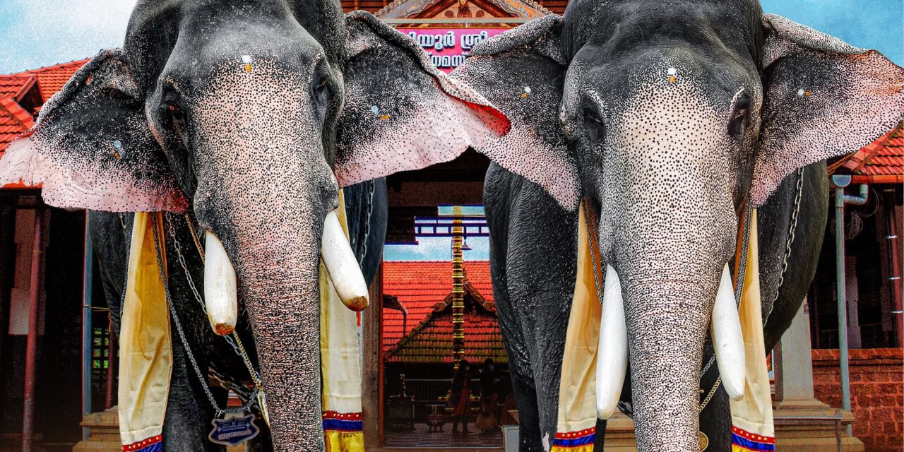 ഭാഗവത ഹംസം മള്ളിയൂര്‍ ശങ്കരന്‍ നമ്പൂതിരിയുടെ മഹാസമാധി ദിനമായ 2 ന് മള്ളിയൂരില്‍ സംഗീതാരാധാന. 27ന് വിനായക ചതുര്‍ഥി