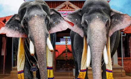 ഭാഗവത ഹംസം മള്ളിയൂര്‍ ശങ്കരന്‍ നമ്പൂതിരിയുടെ മഹാസമാധി ദിനമായ 2 ന് മള്ളിയൂരില്‍ സംഗീതാരാധാന. 27ന് വിനായക ചതുര്‍ഥി