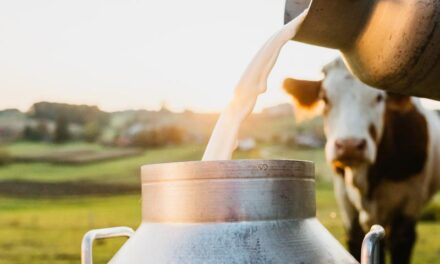 ക്ഷീരകർഷകർ തിരുവനന്തപുരം മിൽമ ഫെഡറേഷന് മുമ്പിൽ പാൽ കമഴ്ത്തൽ സമരവും, കരിദിനവും ആചരിക്കും: കേരള സ്റ്റേറ്റ് മിൽക്ക് സൊസൈറ്റിസ് അസോസിയേഷൻ