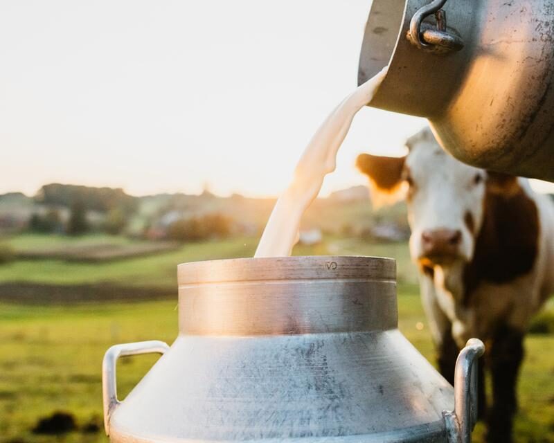 ക്ഷീരകർഷകർ തിരുവനന്തപുരം മിൽമ ഫെഡറേഷന് മുമ്പിൽ പാൽ കമഴ്ത്തൽ സമരവും, കരിദിനവും ആചരിക്കും: കേരള സ്റ്റേറ്റ് മിൽക്ക് സൊസൈറ്റിസ് അസോസിയേഷൻ