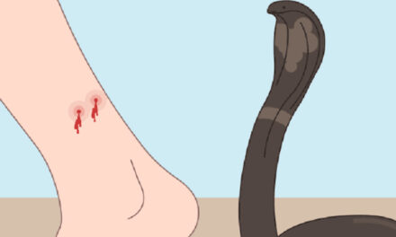 സ്ത്രീധനം ഇനിയും വേണം, യുവതിയെ മുറിയില്‍ പൂട്ടിയിട്ട ശേഷം വിഷപ്പാമ്പിനെക്കൊണ്ട് കടിപ്പിച്ചു, യുവതി സഹായം അഭ്യര്‍ത്ഥിച്ചിട്ടും ഭര്‍ത്താവോ വീട്ടുകാരോ അനങ്ങിയില്ല