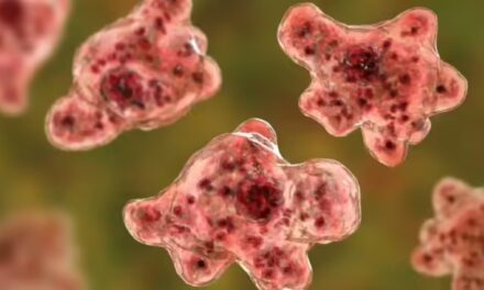 മലപ്പുറത്ത് 10 വയസുകാരന് അമീബിക് മസ്തിഷ്കജ്വരം സ്ഥിരീകരിച്ചു