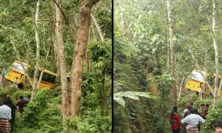 കയറ്റത്തിനിടെ നിയന്ത്രണം വിട്ടു, കൊല്ലത്ത് സ്കൂൾ ബസ് മറിഞ്ഞ് അപകടം; ഡ്രൈവർ അടക്കം 24 പേർക്ക് പരിക്കേറ്റു