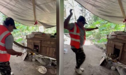 മലപ്പുറത്ത് മലമ്പാമ്പിനെ പിടികൂടുന്നതിനിടെ സ്‌നേക്ക് മാസ്റ്റർക്ക് കടിയേറ്റു