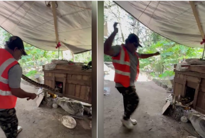 മലപ്പുറത്ത് മലമ്പാമ്പിനെ പിടികൂടുന്നതിനിടെ സ്‌നേക്ക് മാസ്റ്റർക്ക് കടിയേറ്റു