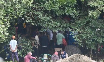 ധർമ്മസ്ഥല കേസ്:  കാട്ടിൽ നിന്ന് 7 പുരുഷ തലയോട്ടികൾ കണ്ടെത്തി SIT, ഒരു വർഷം പഴക്കം? വീണ്ടും ട്വിസ്റ്റ്