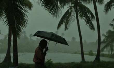ന്യൂനമർദ്ദം ശക്തിപ്പെട്ടു : തെക്കൻ കേരളത്തിലും മധ്യ കേരളത്തിലും മഴ കനക്കും;  7 ജില്ലകളിൽ യെല്ലോ അലർട്ട്, കാറ്റിനും മുന്നറിയിപ്പ്