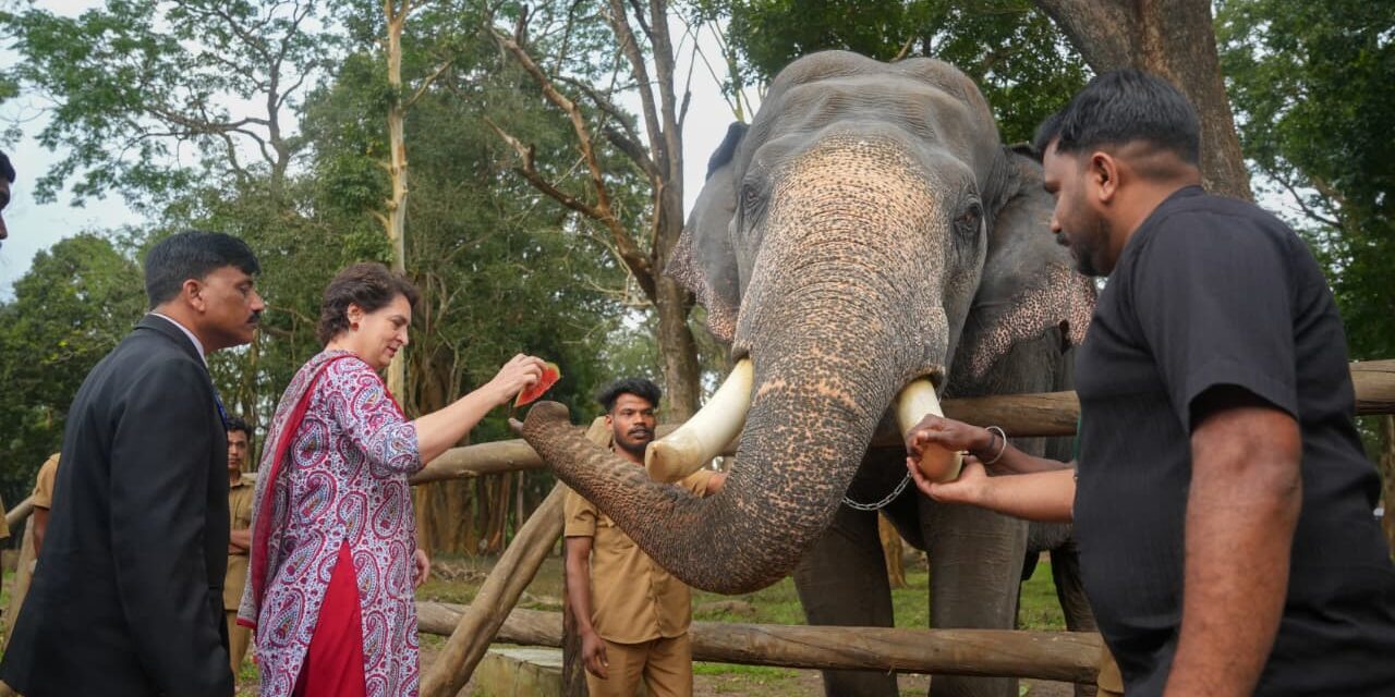 പ്രിയങ്ക ഗാന്ധി എം.പി. മുത്തങ്ങ വന്യ ജീവി സങ്കേതത്തിൽ സന്ദർശനം നടത്തി