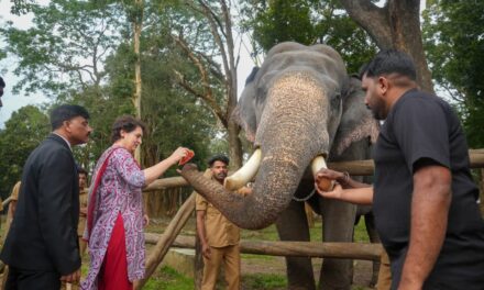 പ്രിയങ്ക ഗാന്ധി എം.പി. മുത്തങ്ങ വന്യ ജീവി സങ്കേതത്തിൽ സന്ദർശനം നടത്തി