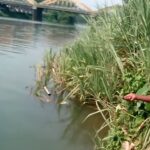 മീന്‍പിടിച്ചു കുടുങ്ങരുതേ….. അനധികൃത മീന്‍പിടുത്തത്തിനെതിരെ ഫിഷറീസ് വകുപ്പ്