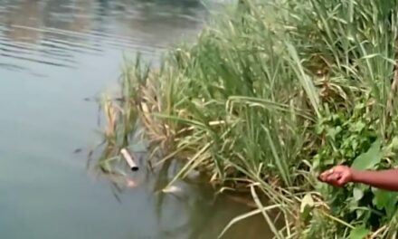 മീന്‍പിടിച്ചു കുടുങ്ങരുതേ….. അനധികൃത മീന്‍പിടുത്തത്തിനെതിരെ ഫിഷറീസ് വകുപ്പ്