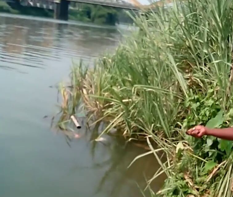 മീന്‍പിടിച്ചു കുടുങ്ങരുതേ….. അനധികൃത മീന്‍പിടുത്തത്തിനെതിരെ ഫിഷറീസ് വകുപ്പ്